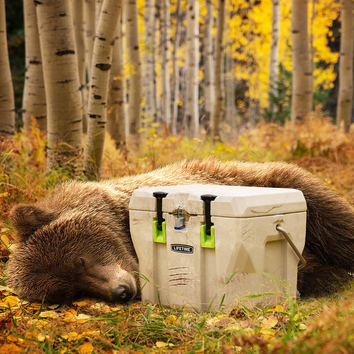 Lifetime 28 Qt Bear - Resistant Camping Cooler, Premium High Performance, Ice Retention, Hard Cooler, 20 Can Capacity, Boulder Gray (91289)