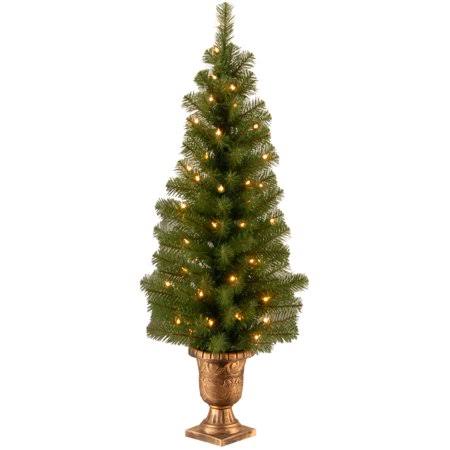 National Tree Montclair Spruce Entrance Tree with Clear Lights 4'
