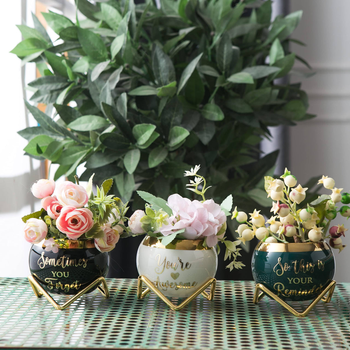 PeraBella Birthday Gift for Women, Coworker, Wife 3 Succulent Pots