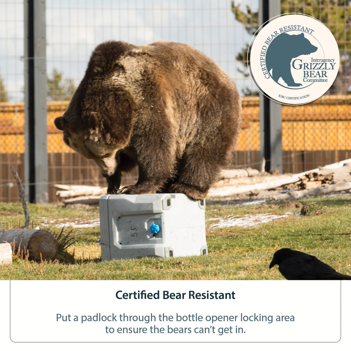 Lifetime 28 Qt Bear - Resistant Camping Cooler, Premium High Performance, Ice Retention, Hard Cooler, 20 Can Capacity, Boulder Gray (91289)