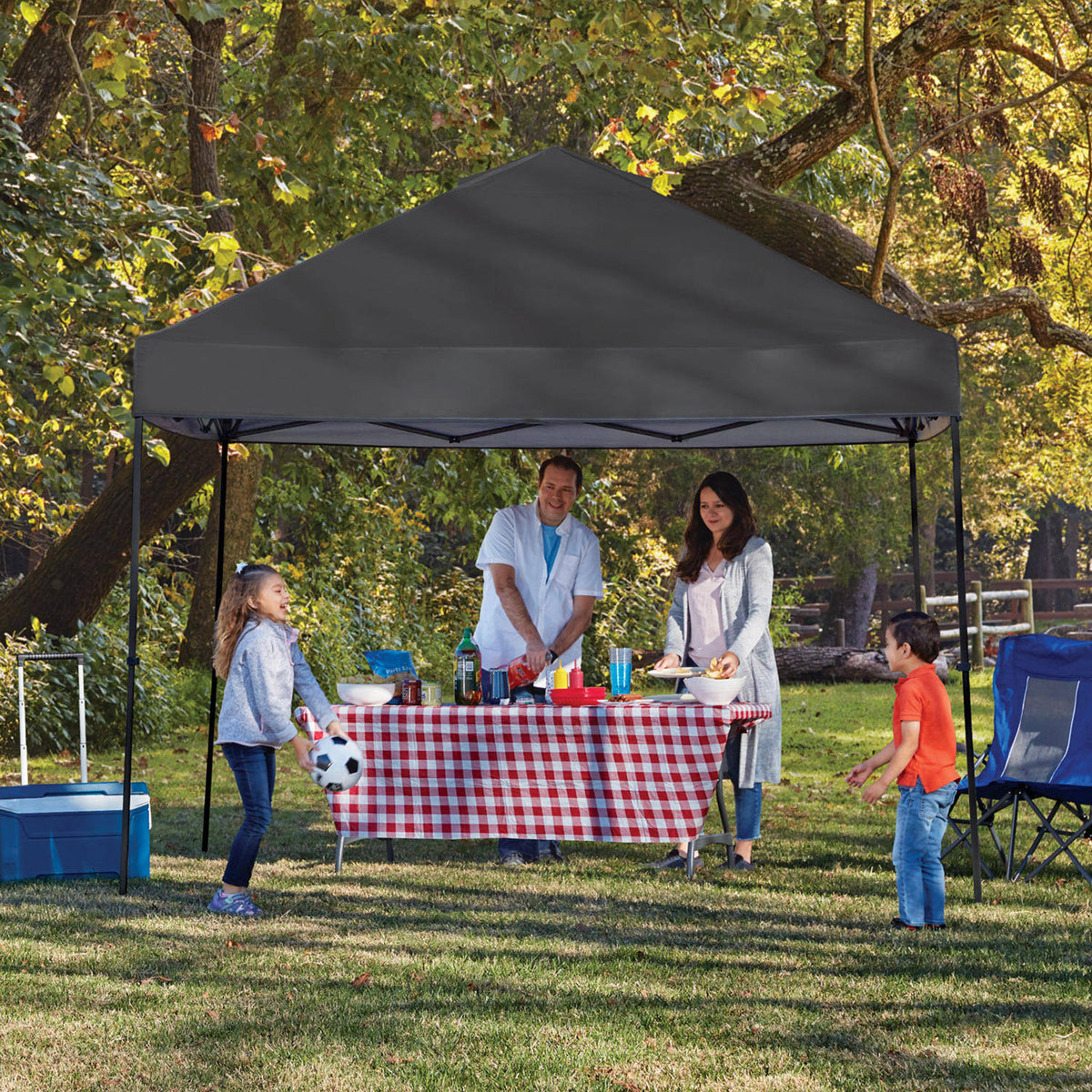 Member's Mark 10'x10' Steel Framed Easylift Tech Instant Canopy Grey