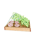 Medium Cucumber Trellis - Green