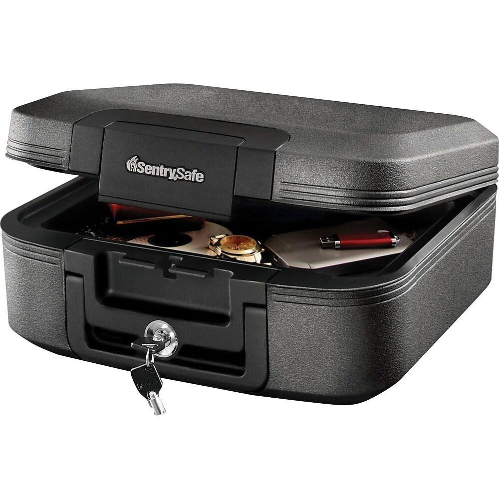 Sentry Group Chw20201 Sentry Safe Medium Tubular Lock Chest
