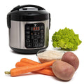 Moss & Stone Small Electric Digital Multicooker/Rice Cooker with Steamer - 4-8 Cup, Silver