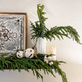 Natural Touch Norfolk Pine Spray