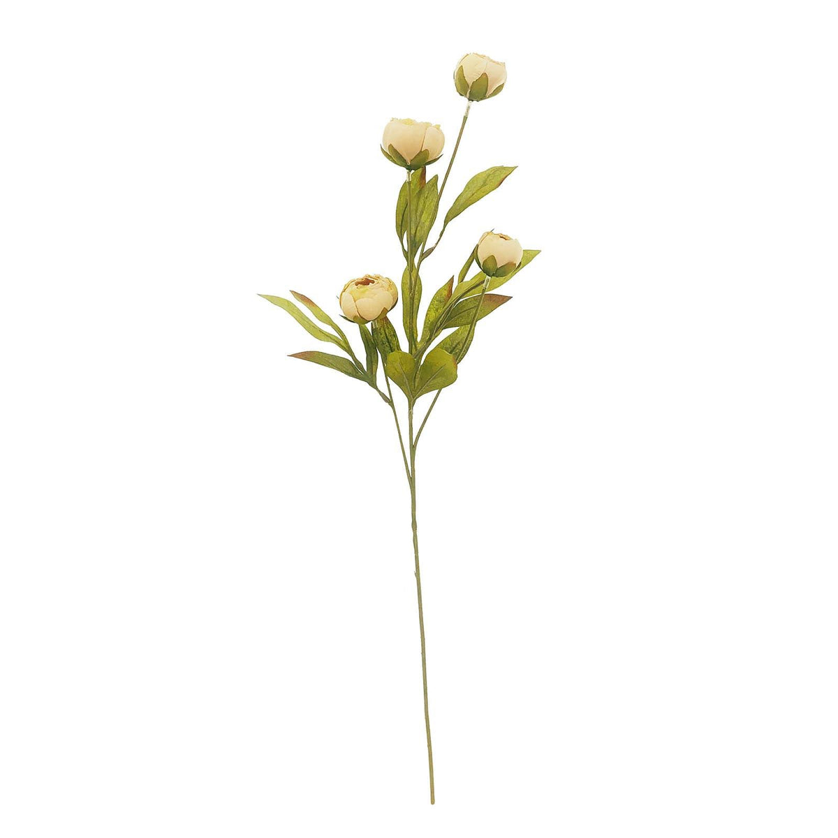 Tan Peony Stem by Ashland | 11.5 | Michaels